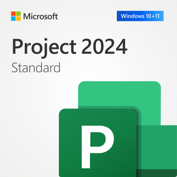 MICROSOFT PROJECT 2024 1PC