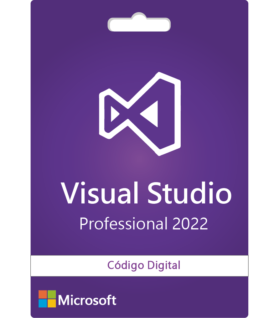 VISUAL STUDIO PROFESSIONAL (1 PC)