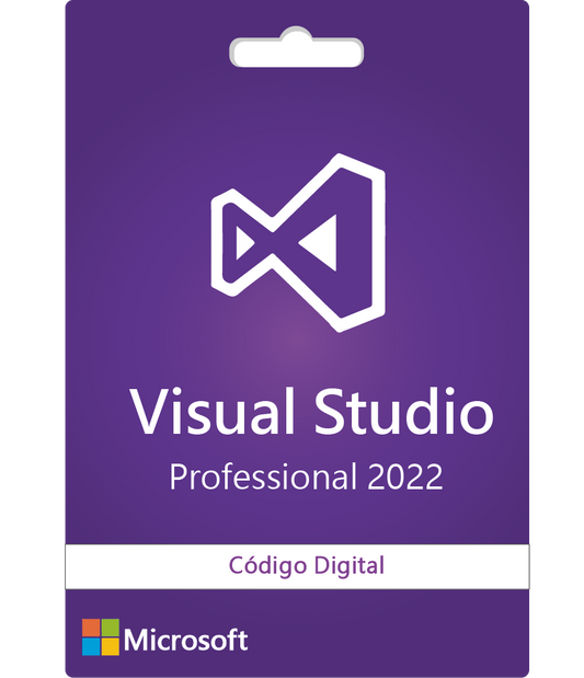 VISUAL STUDIO PROFESSIONAL (1 PC)