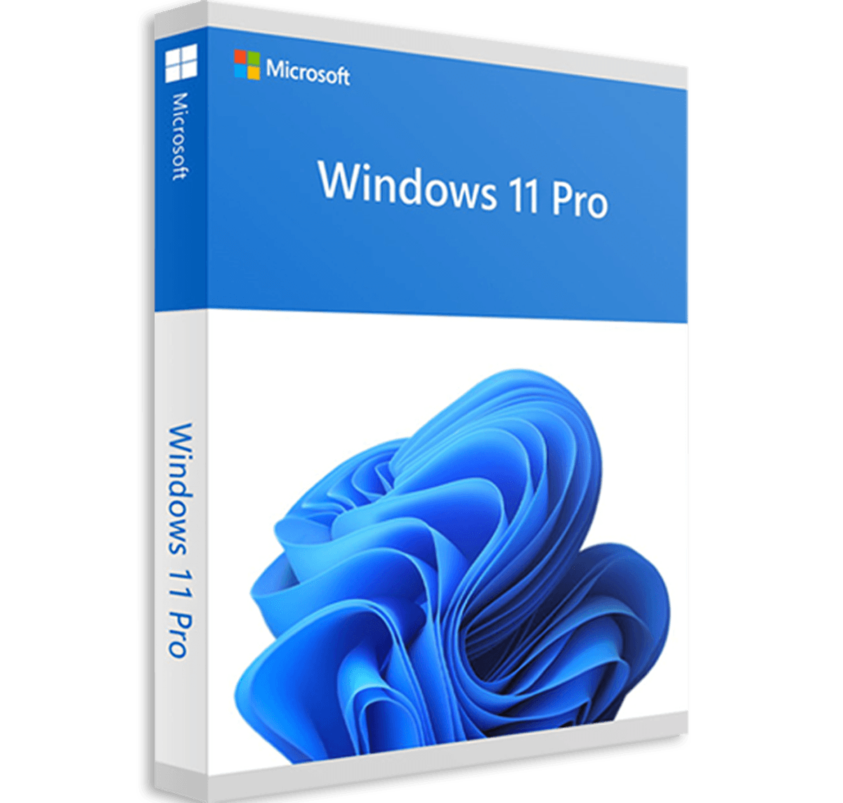 WINDOWS 11 PRO OEM