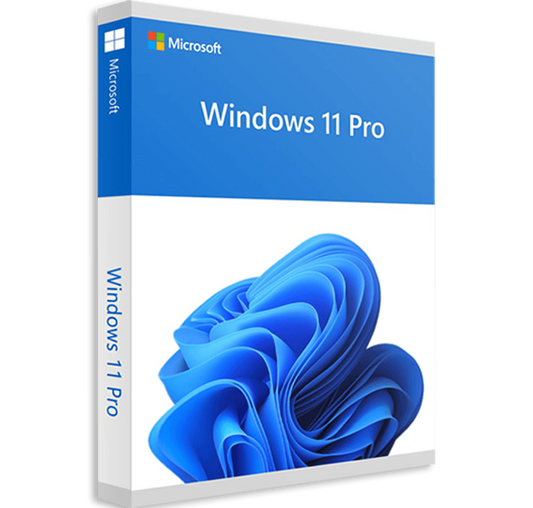 WINDOWS 11 PRO OEM