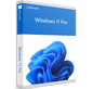 WINDOWS 11 PRO OEM